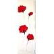 LES COQUELICOTS